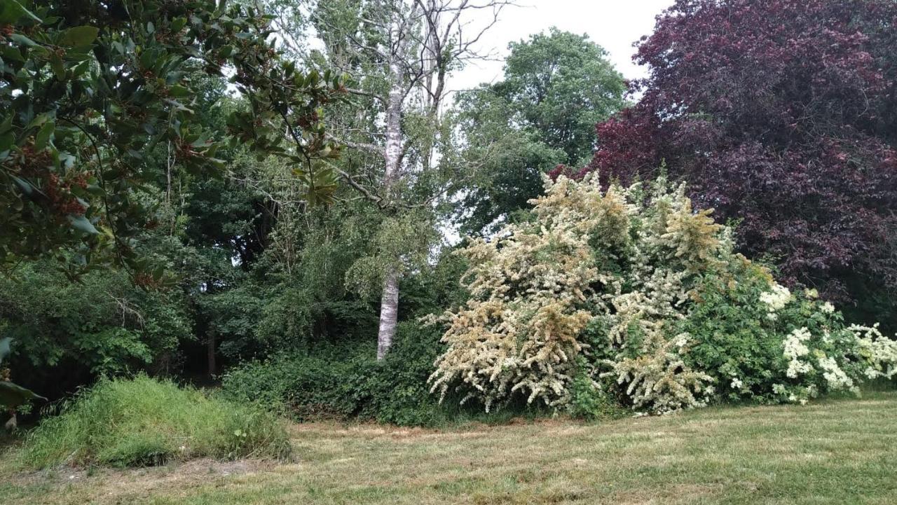 Chambre A La Ferme Saint-Martin-des-Champs  Exterior foto